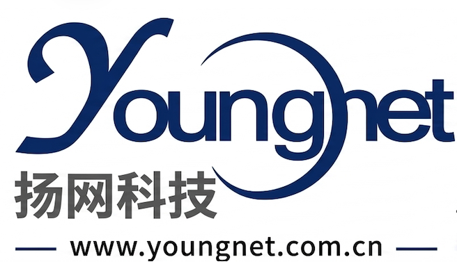 扬网科技 鞋业ERP品牌商标